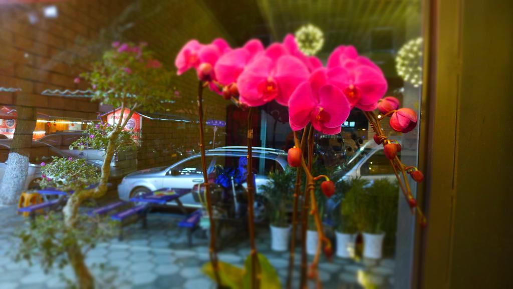 Guilin Central Wada Hostel المظهر الخارجي الصورة
